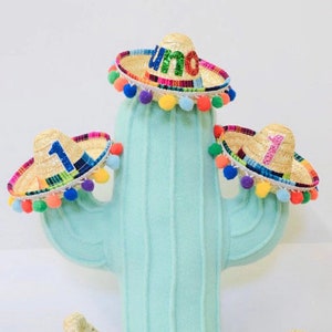 Mini Sombrero, Cinco De Mayo Celebration, Fiesta Party Taco Bout Two Birthday Party, first Fiesta, Little Blue Olive