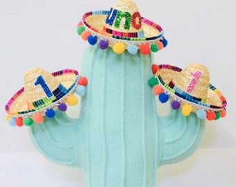 Mini Sombrero, Cinco De Mayo Celebration, Fiesta Party Taco Bout Two Birthday Party, first Fiesta, Little Blue Olive