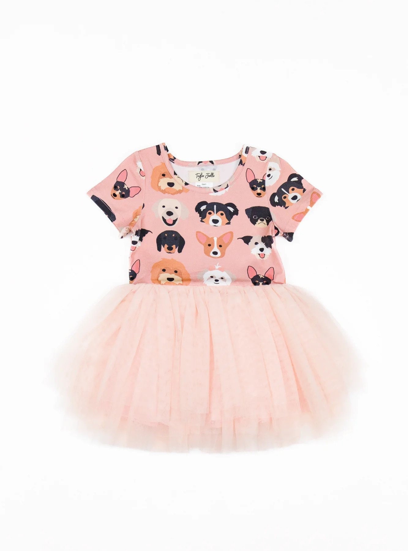 taylor joelle dress PREORDER main image 1