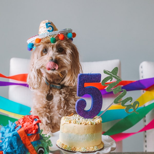 Pet Sombrero, Birthday Hat, Party Hat, Dog Party Hat, Any Number Party Hat, Pet Party Hat, Pet Party,  Little Blue Olive