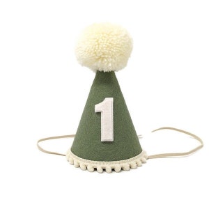 Olive Green Birthday Party Hat, First Birthday Party Hat, Boys first birthday, Neutral Party Hat, Little Blue Olive, Wool Felt Party Hat