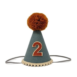 May include: A blue felt party hat with a brown pom-pom on top and the number "2" in orange felt. The hat has a white elastic band.