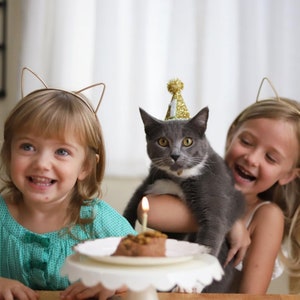 Pet Party Hat, Party Hat, Cat Party Hat, Dog Party Hat, Pet Party, Little Blue Olive