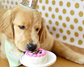 Design Your Own Pet Birthday Glitter Crown, Custom Number & Trim