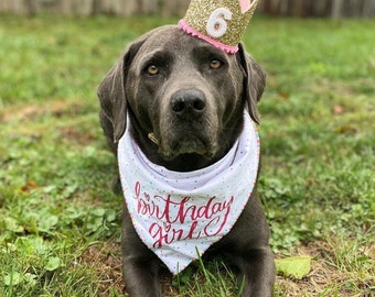 Dog Birthday Hat, Dog Birthday Crown, Pale gold and Pink Pet Party Hat, Little Blue Olive, Party Animal, Pet Birthday Hat