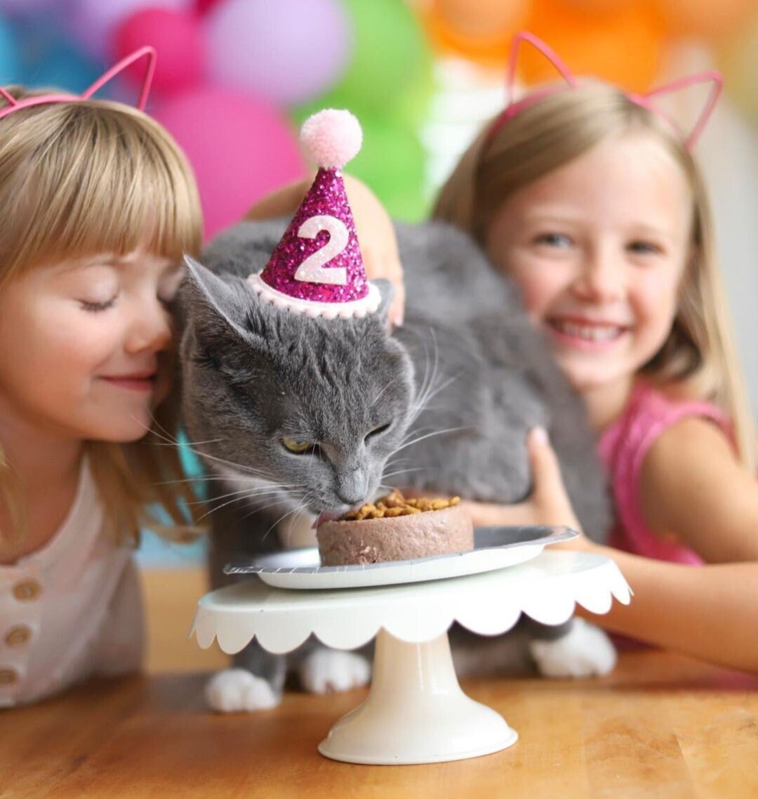 Pet Party Hat, Party Hat, Cat Party Hat, Dog Party Hat, Pet Party