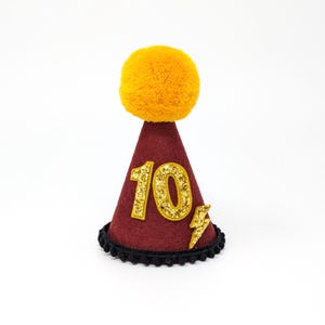 May include: A burgundy party hat with a gold glitter "10" and lightning bolt. The hat has a black trim and a large orange pom-pom on top. Perfect for a tenth birthday celebration.