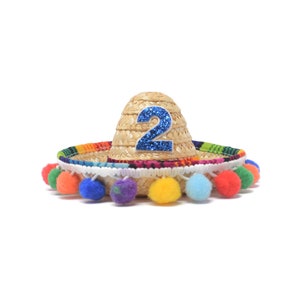 Mini Sombrero, Cinco De Mayo Celebration, Fiesta Party Taco Bout Two Birthday Party