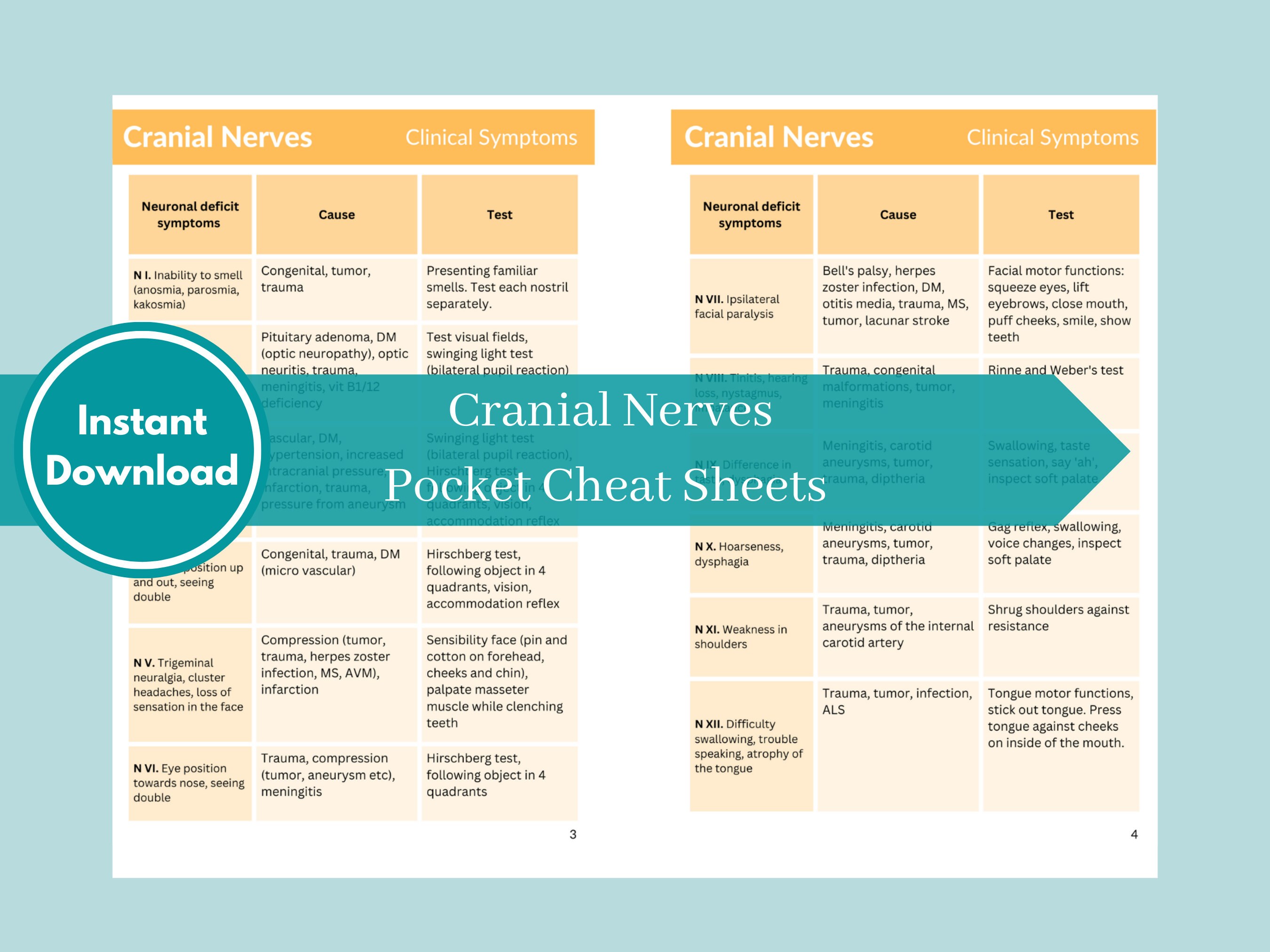 Cranial Nerves Study Cheat Sheet Neurology Medical Student - Etsy Canada