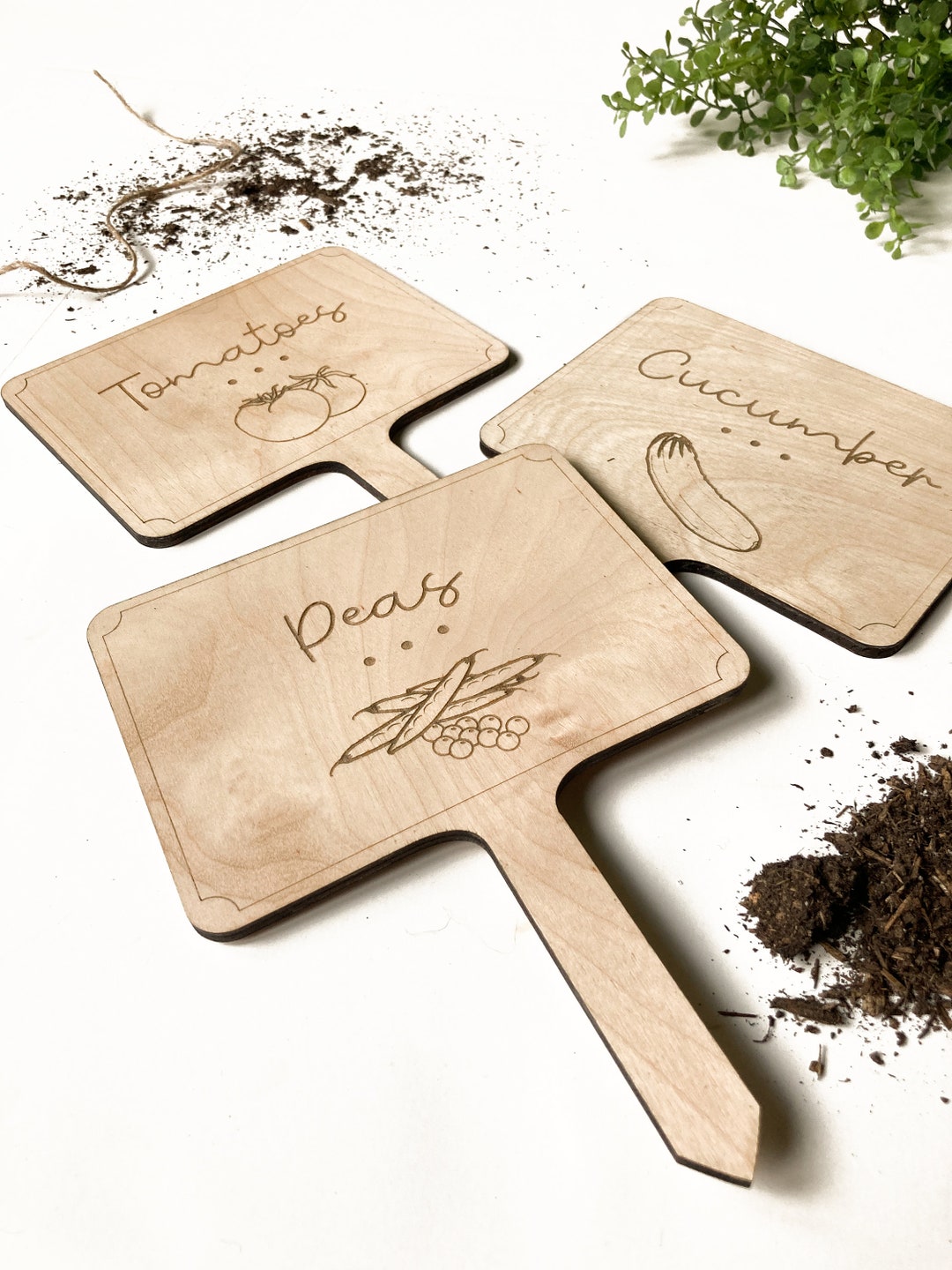 Module Laser Rouge 100mW Pour Alignement - Scierie, Bois, Pierre, Portée Jusqu'à 100 M