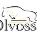 Olvossa