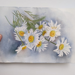 Daisies Original Watercolor Painting Chamomile Flowers Hand painted Realistic Hand drawn Aquarelle Floral Wall Decor  Still Life Botanical