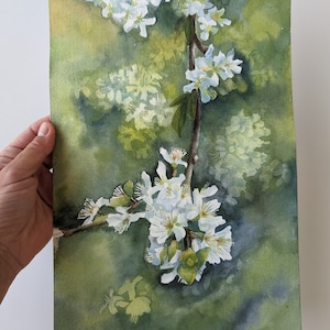 Fiore di melo originale Pittura ad acquerello Fiore disegnato a mano dipinto a mano Botanical Aquarelle Realismo Blooming Garden Nature Landscape