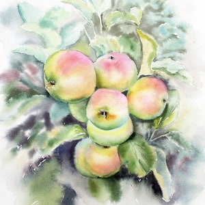Un ramo di melo Dipinto ad acquerello ORIGINALE Frutto di mela Mele Dipinto a mano Acquarello Frutta estiva Natura morta Disegnato a mano Fatto a mano