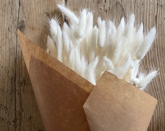 Rabos de Coelho | Flores Secas | Branco Descolorido