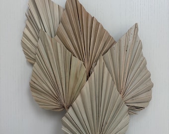 Natural Dried Palm Spears | Palm Leaves | Boho/Rustic Decor