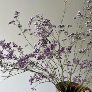 May include: A display of purple flowers in a rustic brown ceramic jug. The flowers feature small, delicate blooms and thin stems. The jug has a handle and a decorative white pattern around the top.