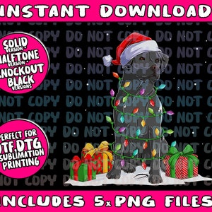 thumbnail image 2 of Dinosaur Christmas Shirt Fa Ra Rawr Tree Rex Xmas Gift T-Shirt 2 of 12