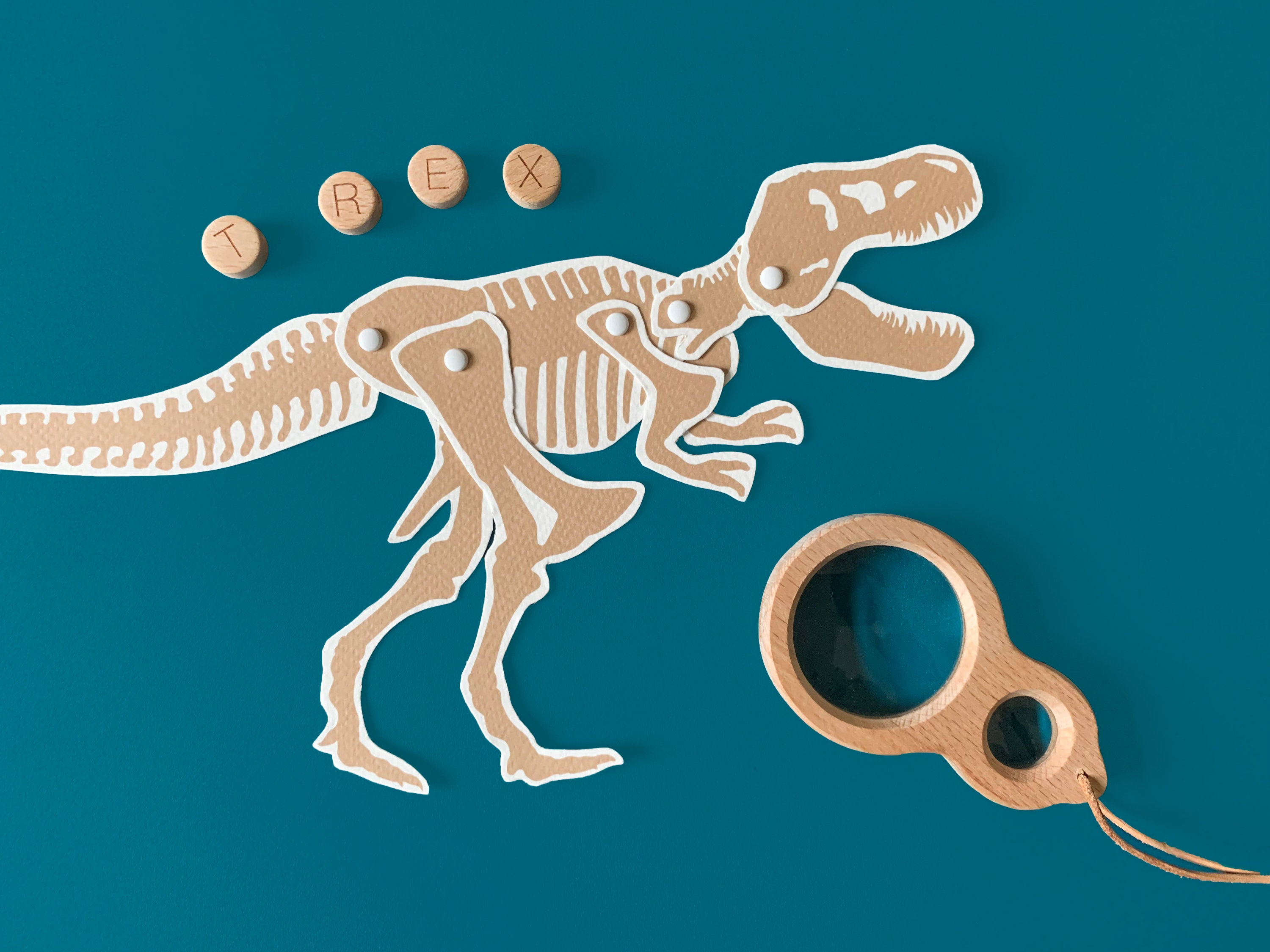 Squelettes Dinos à Reconstituer Kit Fouille Dinosaures Janod - Jeu éducatif Archéologie Pour Enfants 4-8 Ans Jeu Dinosaure