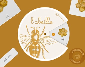 Lebenszyklus der Biene PDF, Montessori-Nomenklaturkarten, druckbare Aktivität für Kinder, Insekten-Lernspiel, Montessori-Rad