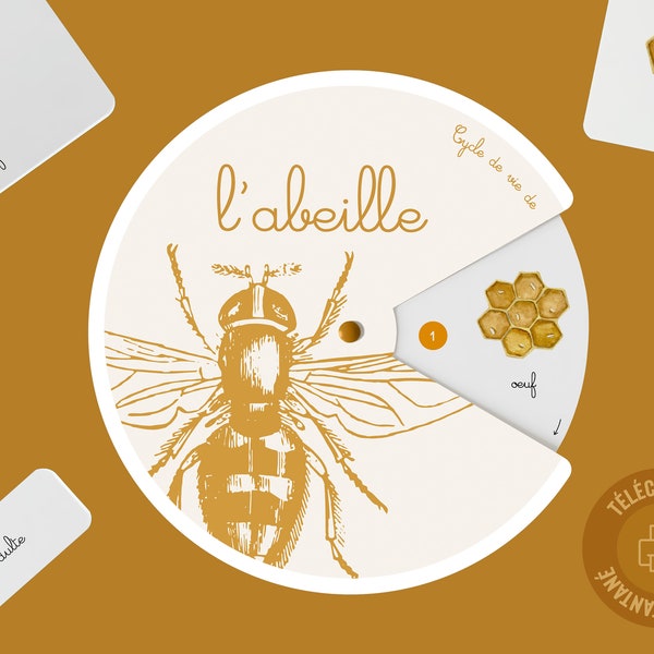 Cycle de vie de l'abeille PDF, cartes de nomenclature Montessori, activité à imprimer pour enfant, jeu éducatif insectes, roue Montessori