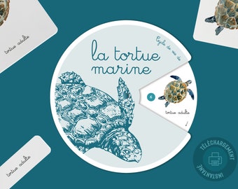Cycle de vie de la Tortue de mer, Jeu éducatif maternelle, Cartes de nomenclature vie marine, Activité manuelle Tortue, roue Montessori