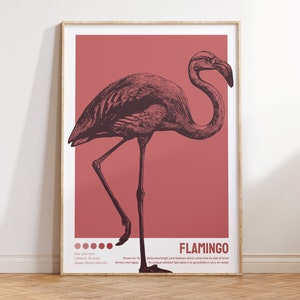 Cartel de flamenco rosa, cartel infantil imprimible, animales de la sabana, decoración de la habitación del bebé, arte vintage, Bauhaus, avestruz, habitación infantil rosa