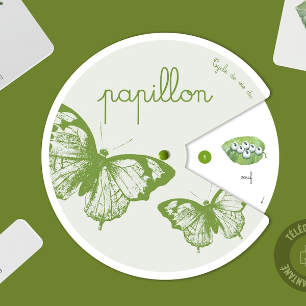 Cycle de vie du Papillon, Jeu éducatif maternelle, Cartes de nomenclature insecte, Activité manuelle papillon, Chrysalide, roue Montessori