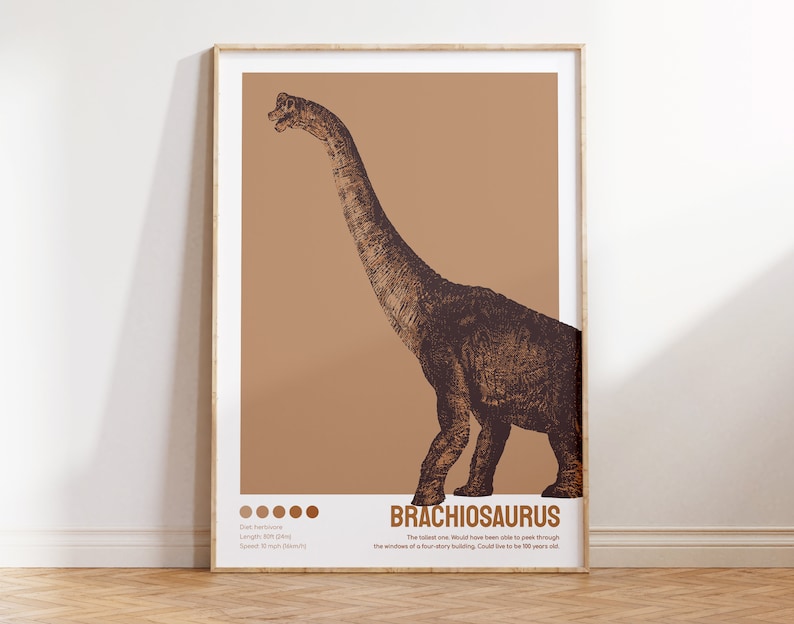 May include: A brown and black illustration of a Brachiosaurus dinosaur on a light brown background. The text "Brachiosaurus" is in brown letters at the bottom of the image. The text below the dinosaur's name reads: "The tallest one would have been able to peek through the windows of a four-storey building. Could live to be 100 years old."