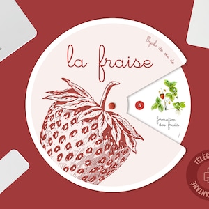Cycle de vie du Fraisier, Cycle de la plante, Jeu éducatif, Cartes de nomenclature plantes, Jeu d'apprentissage Fraise, Montessori végétaux