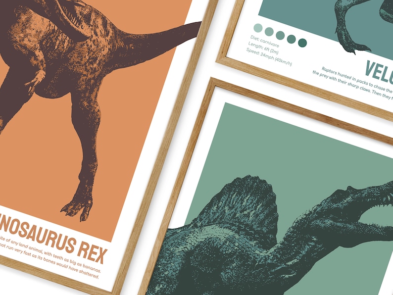 May include: Two framed illustrations of dinosaurs. The first illustration is of a Tyrannosaurus Rex, a large carnivore dinosaur with a brown and orange colour scheme. The second illustration is of a Spinosaurus, a large carnivore dinosaur with a green and blue colour scheme. Both illustrations include text about the dinosaurs' diet, length, and speed.