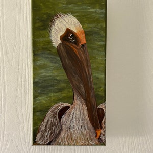 Pierre the brown pelican