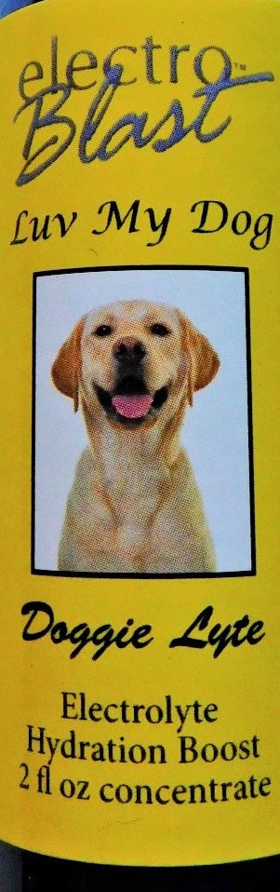 Can You Give A Dog Electrolytes