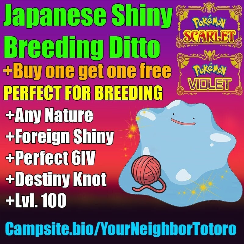 Ditto for Competitive Pokémon Breeding • 6IVs, Shiny, Level 100