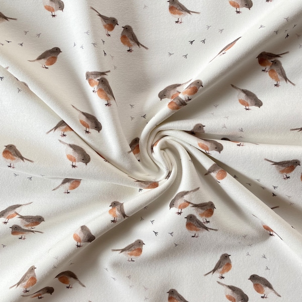 Jersey Family Fabrics Rotkehlchen creme