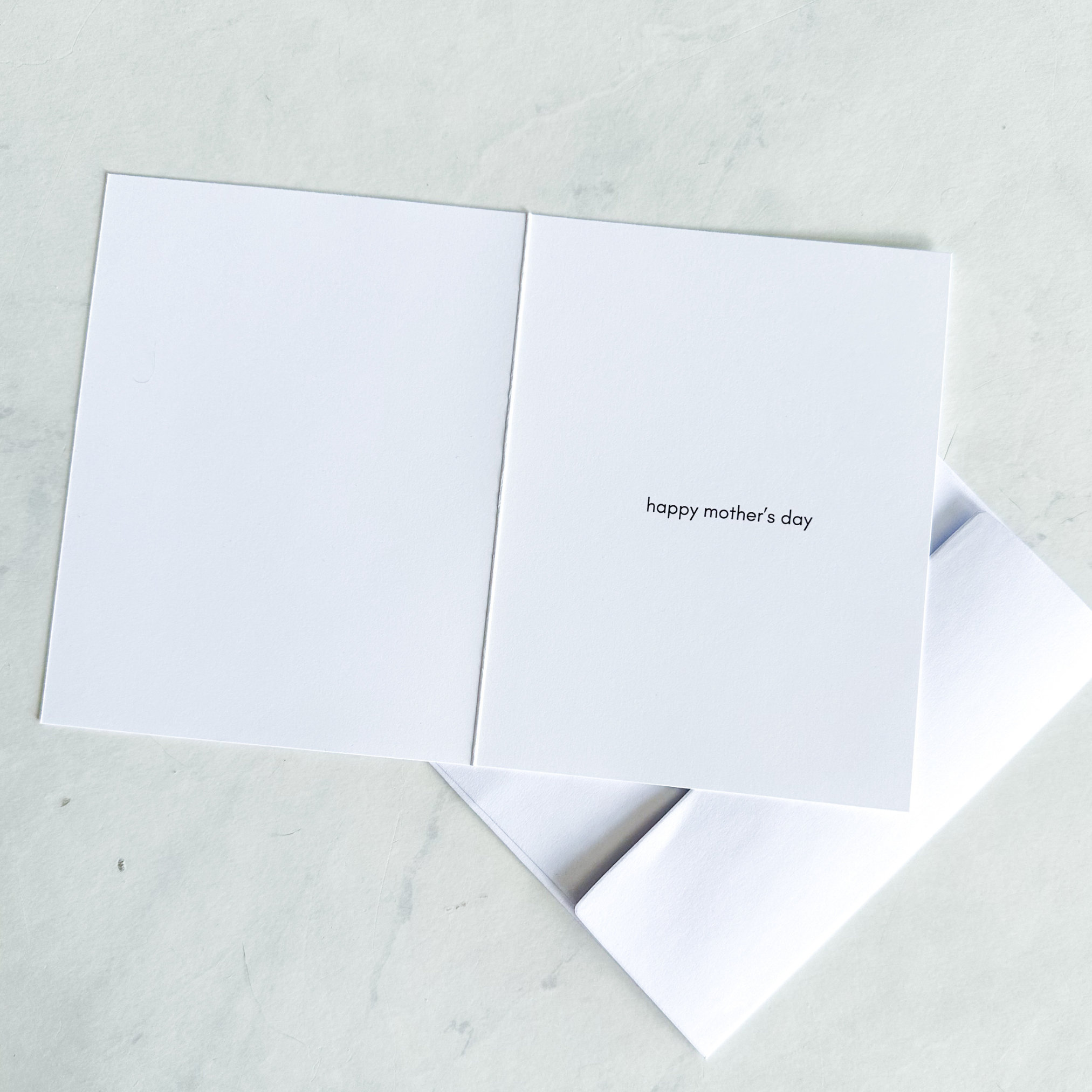 Funny Mother's Day Card, Instead of Grandchildren May I Interest You in ...