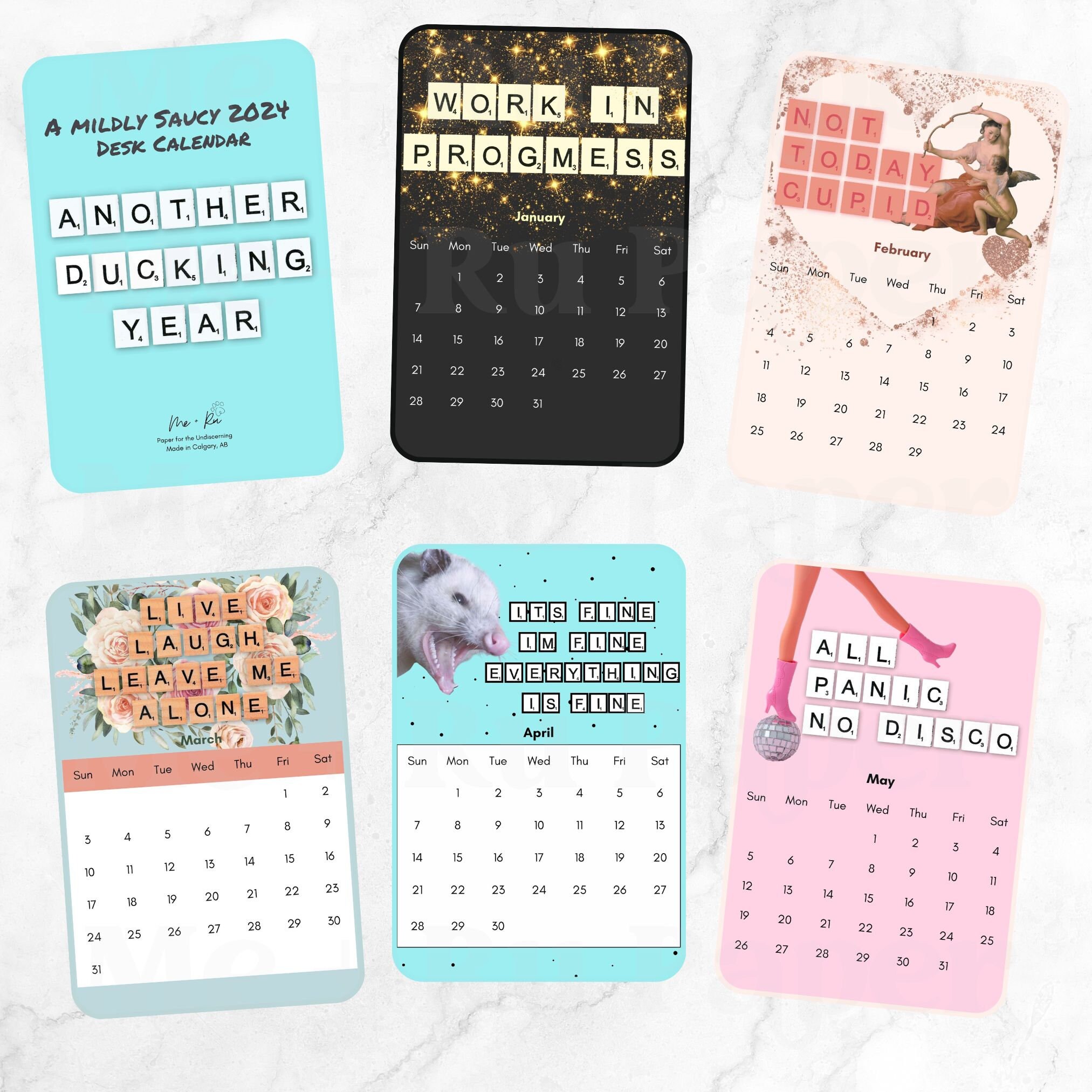 2024 Funny Desk Calendar, Another Fucking Year, Another Ducking Year