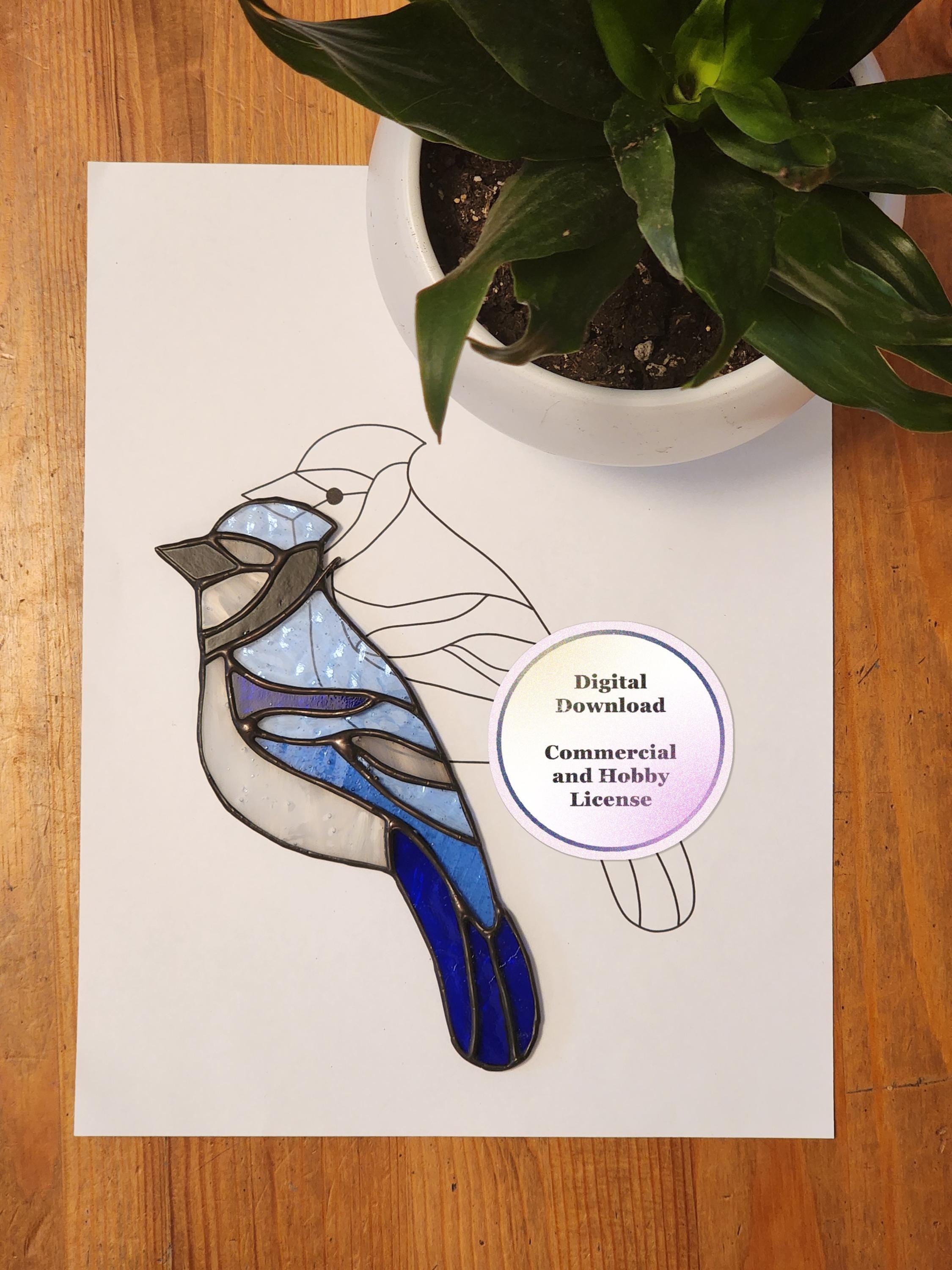 Blue Jay Stained Glass Pattern (digital Download) *commercial and Hobby ...