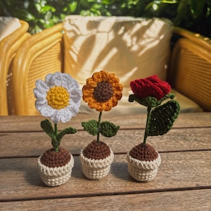 Crochet Potted Flower-Table/ Car Decoration- Rose, Daisy, Sunflower, Gift for any anniversary