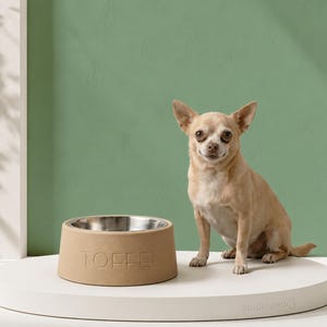 May include: A small tan dog sits beside a beige dog bowl with a stainless steel interior. The word "TOFFEE" is embossed on the side of the bowl. The bowl is on a white surface with the text "studio pear" printed on it.