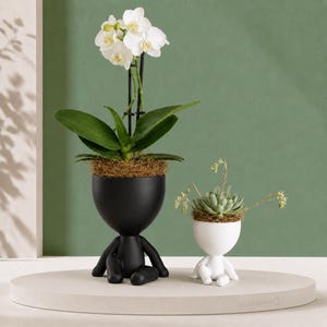 Stöcke® Figurine Planter – Orchid & Succulent Planter · Indoor Plant Pot | 2 Sizes · 7 Poses Plant Holder | Australian Made · Plant-Based