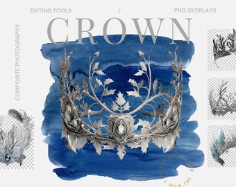 Winter Frosty Silver Tiaras Diamond Digital Headpieces Icy Crown PNG Boudoir Crowns Maternity Digital Crowns Winter Digital Crown