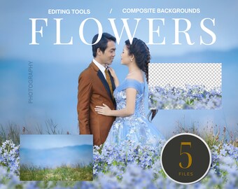 Forget Me Not Floral Field Background Blue Flower Digital Background Blue Fields Composite Flower Fields Background Flower PNG Overlay