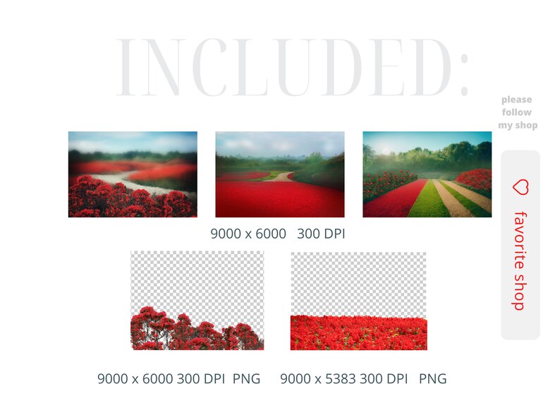 Luxury Red Photography Background Replacement Landscape Etsy