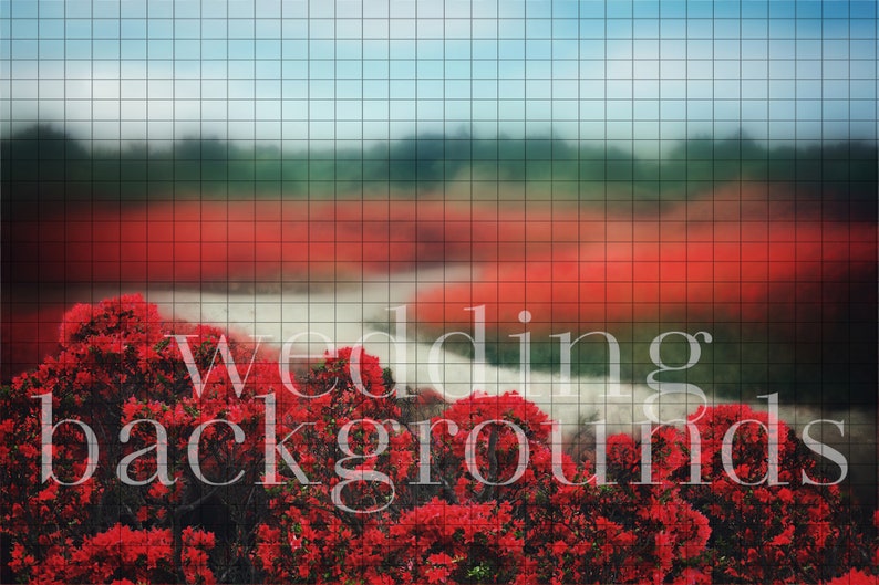 Luxury Red Photography Background Replacement Landscape Etsy
