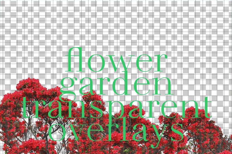 Luxury Red Photography Background Replacement Landscape Etsy