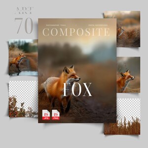 Fox Background Fox Composite Virtual Background Fall Field Blur Animal Fall Composite Animals Digital Background Digital Backdrop Blur