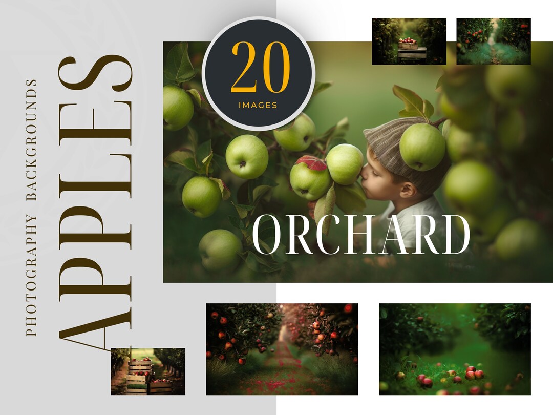 Apple Orchard Digital Photography Blur Background Apple Etsy