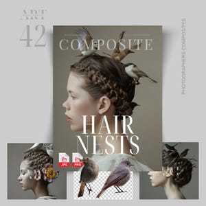 Hair Clipart Hair Composite Wig Stock Photo Hair Stock Image Portrait Composite Hair Stock Images Hair Stock Model Braided Hair Clipart Updo