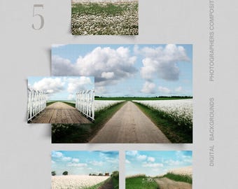 Fotografía de campos blancos y azules de verano, fondo digital de cielo azul con flores blancas, campos de cielo azul claro, fondo de granja, bellas artes